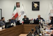 معوقات شاهین را امسال تمام می کنیم/ تکمیل خودروهای ناقص سایپا تا پاییز​