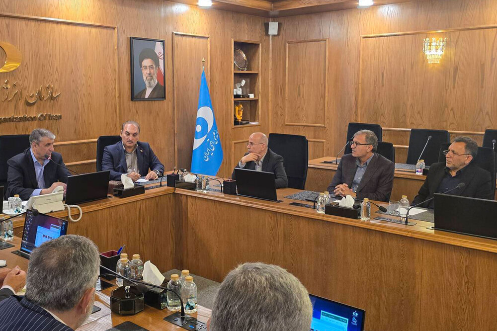 بررسی آخرین وضعیت فعالیتهای هستهای در کمیسیون انرژی با حضور اسلامی