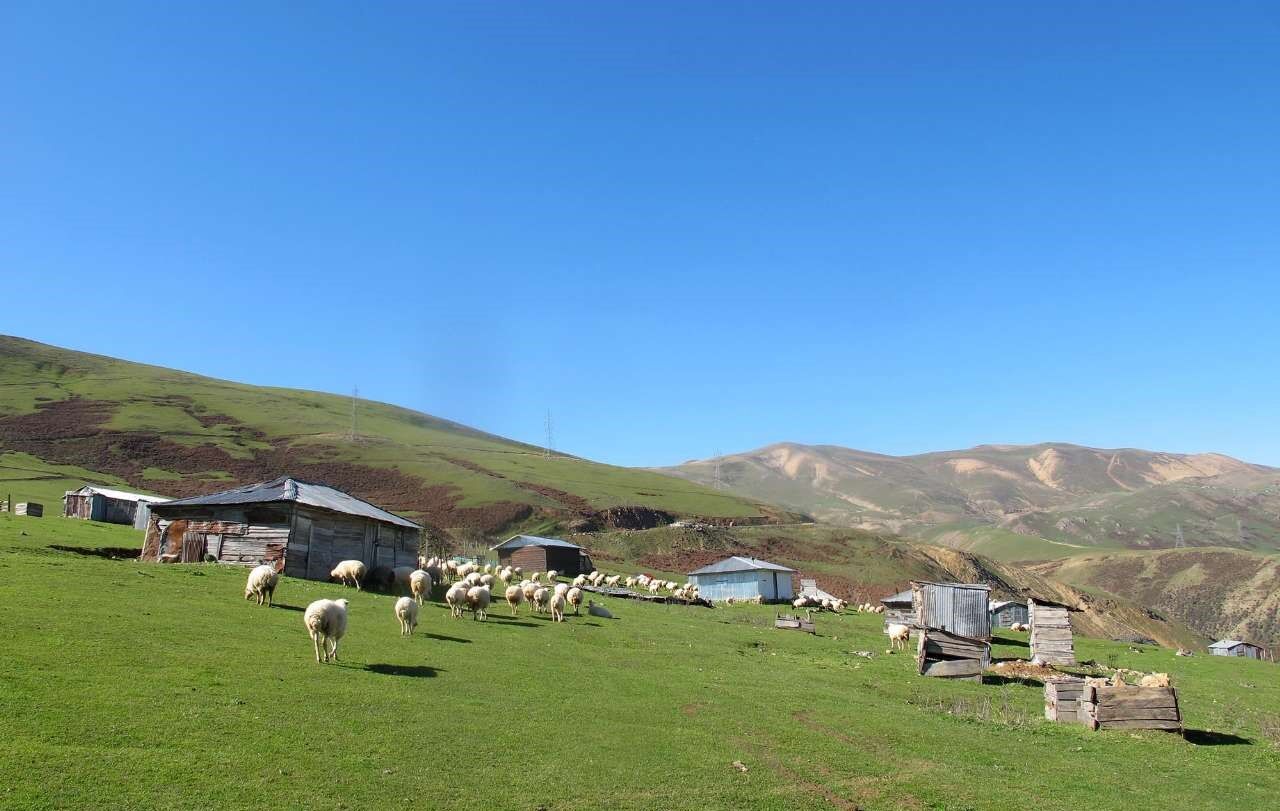 آسمان گیلان صاف و آفتابی است