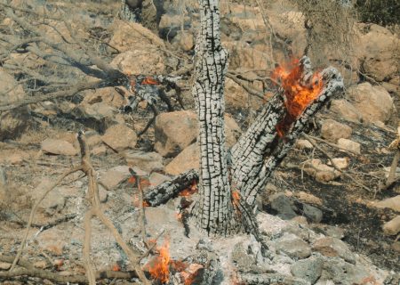 هشدار جدال نابرابر با آتش در زاگرس؛ وقتی امکانات از خطر عقب می‌ماند​